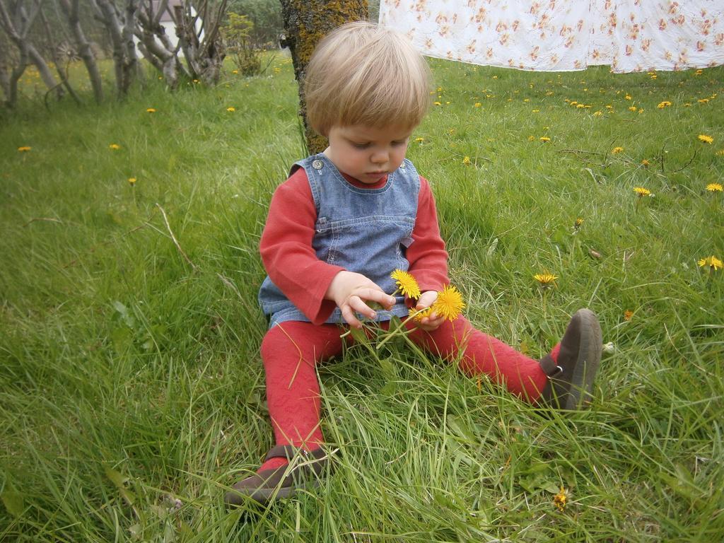 Sireksstadir Farm Holiday Vopnafjordur Exterior foto